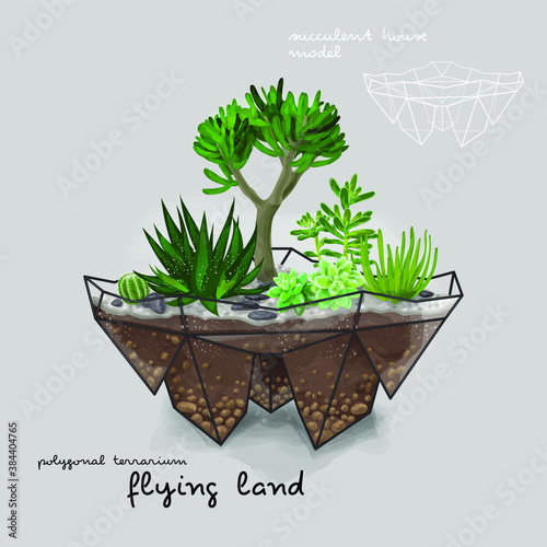 Cactus and succulent inside the geometrical terrarium (florarium). Vector illustration.