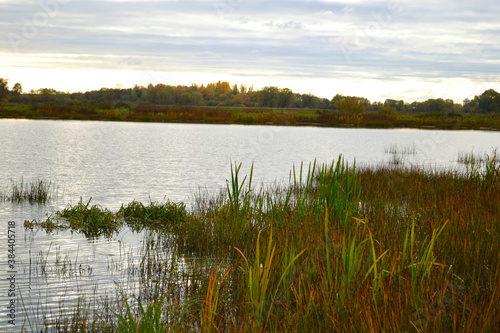 Beautiful autumn landscape with lake and meadow in grey day before the rain. Northern Europe. October.