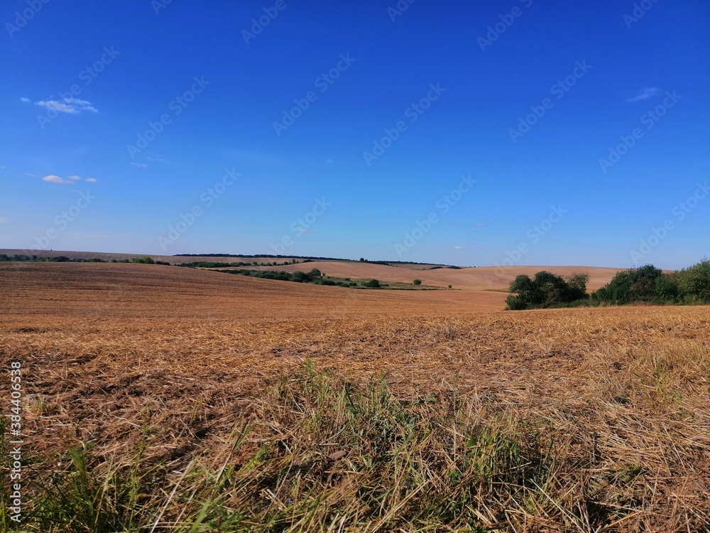 landscape with a field