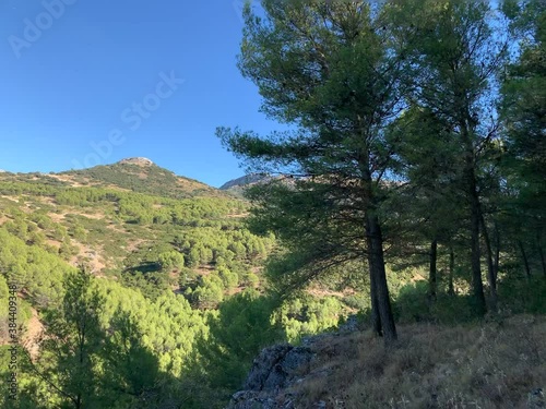 Video of the forest and mount Jabalcuz in Torredelcampo, Jaén photo