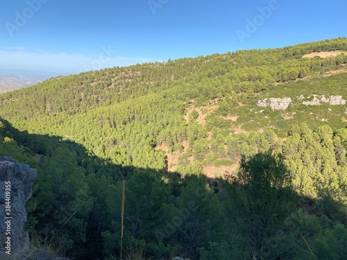 Forest of trees and mount jabalcuz in the background in Torredelcampo, Jaén