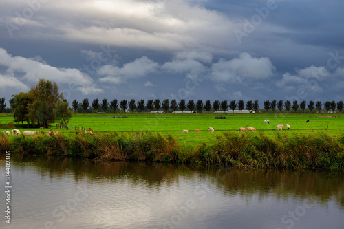 Typical Dutch landscape in autumn