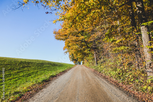 Fototapeta Naklejka Na Ścianę i Meble -  Dirt roat with autumn colors and blue sky