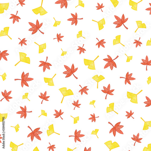 Autumn pattern Illustration -  maple leaf and  ginkgo leaf