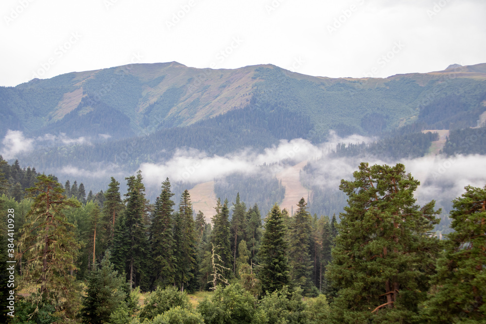 Fototapeta premium Kavkazk KCHR