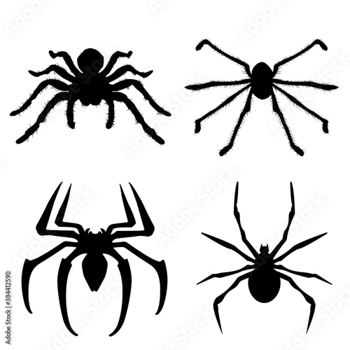 Black spiders set. Vector silhouette spiders. Isolated spiders set.