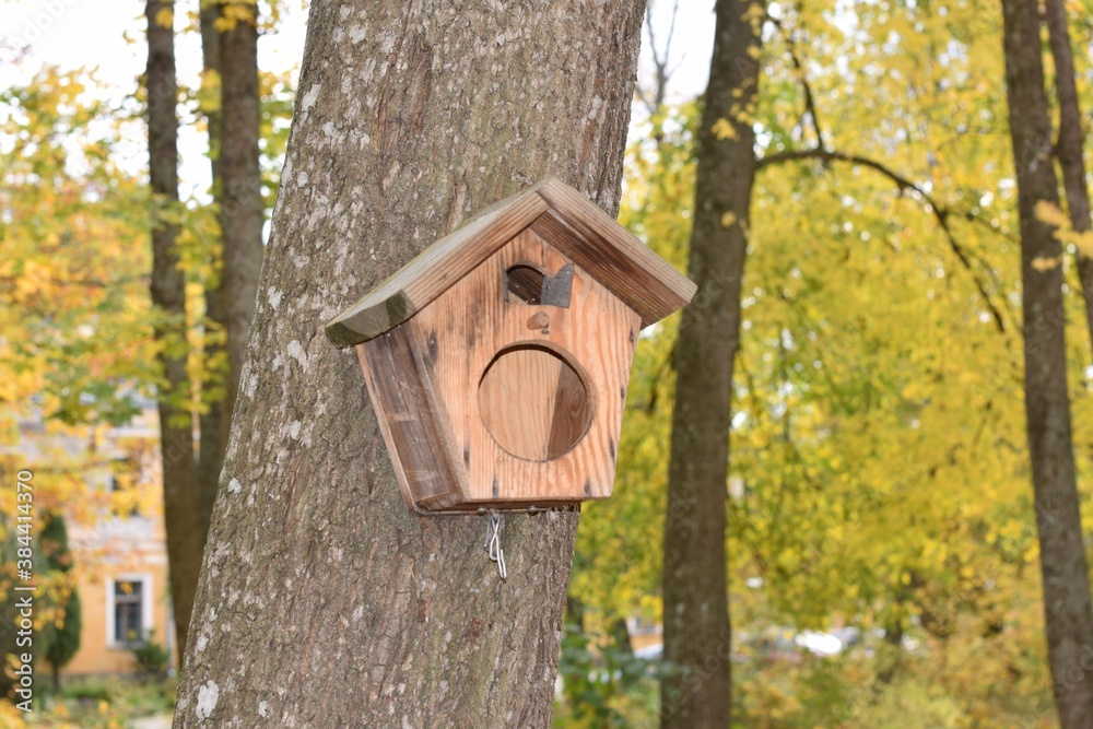 bird house on tree