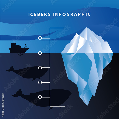 iceberg infographic with whales and ship vector design