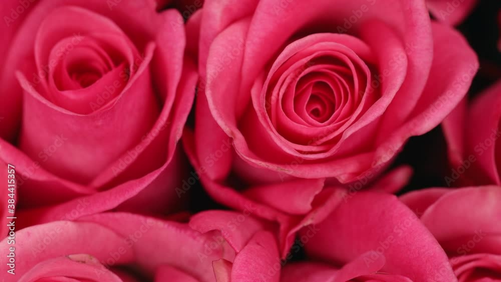 Bouquet of many roses close-up. Natural roses background. Bouquet of many roses close-up. Natural roses background.