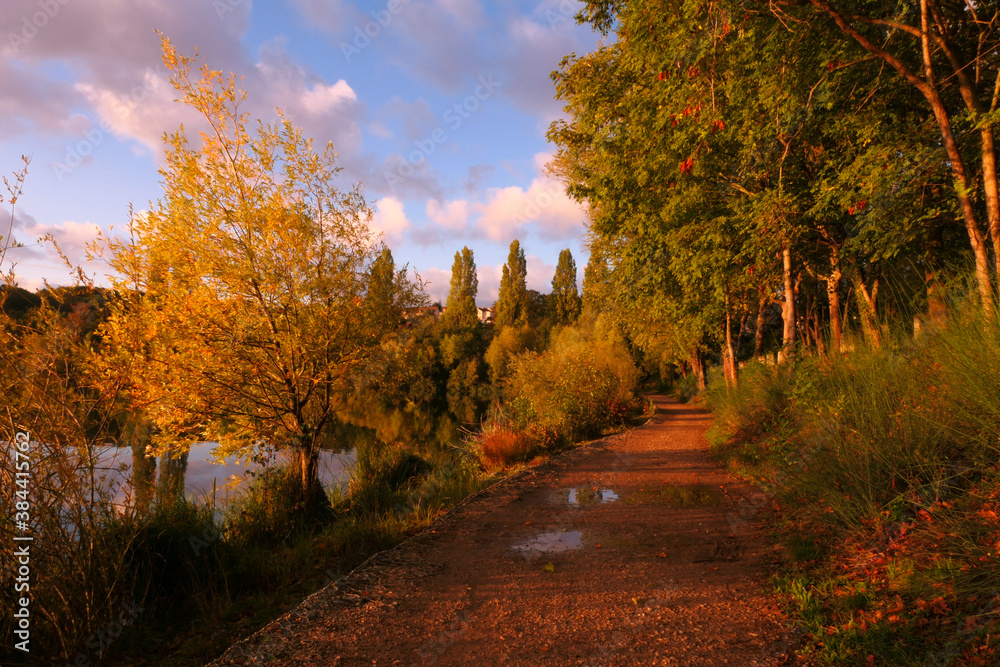Naklejka premium Country landscape with a lake. Sunny blue sky with clouds. A place of relaxation at the water's edge. Vegetation in the foreground.