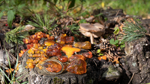 Beautiful yellow- orange Baltic amber jewelry necklace, pendants, brooch, earrings is among leaves, pine needles, pine cones and mushrooms on the cracked old tree stump. Amazing autumn composition. 