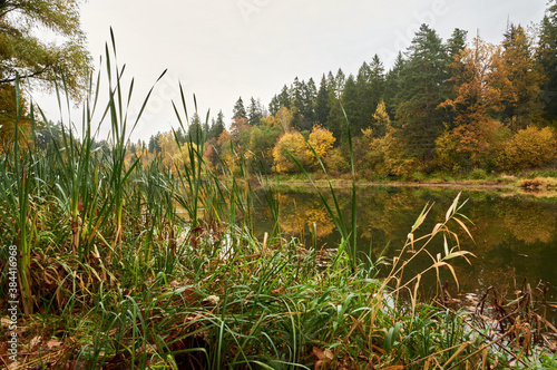 a quiet lake surrounded by a sparkling autumn forest against a rainy sky