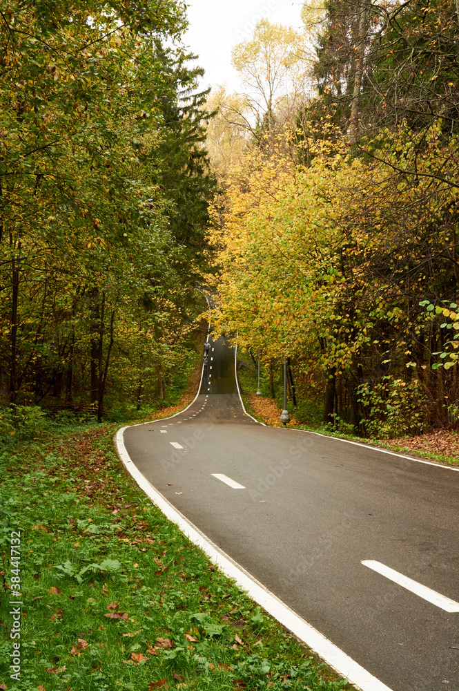 wet asphalt road in wild autumn forest wet asphalt road in wild autumn forest