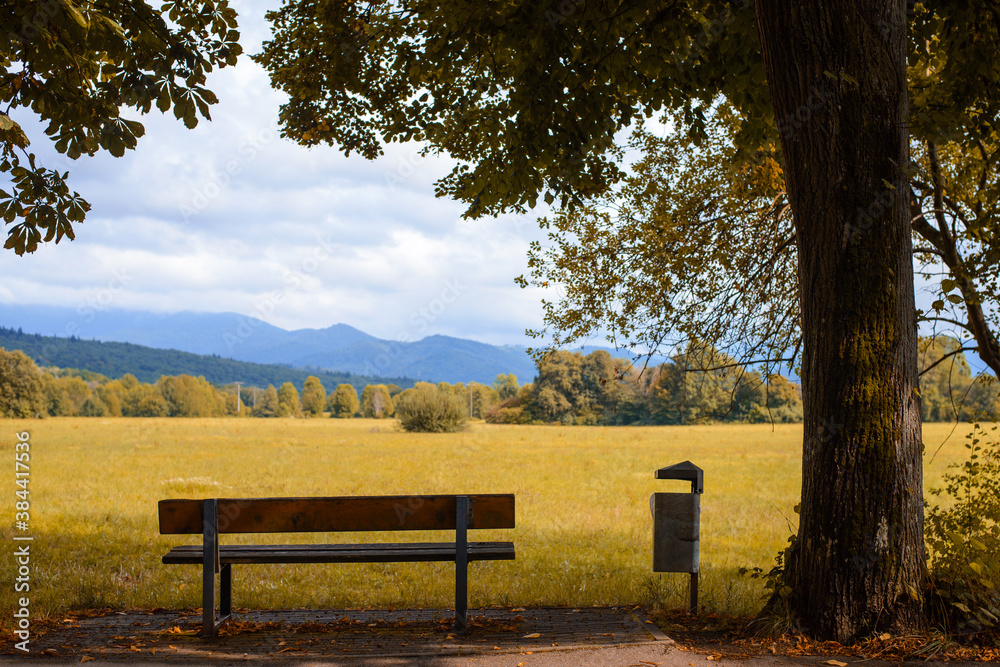 Calming landscape of a bench under the tree with a beautiful view on the valley and mountains on the background