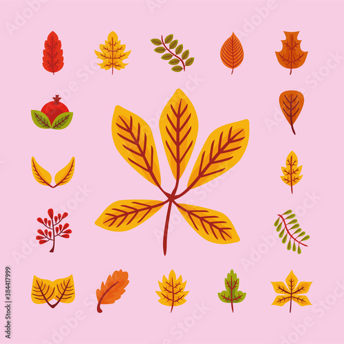 bundle of twenty five autumn leaves flat style