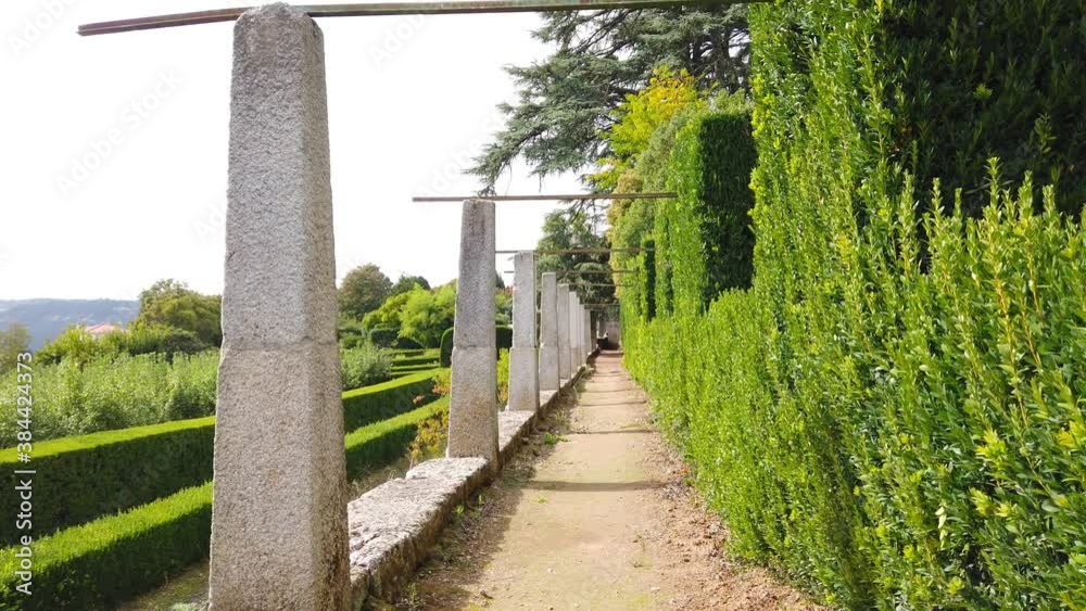 Amazing and relaxing path in a garden surrounded by trees Amazing and relaxing path in a garden surrounded by trees