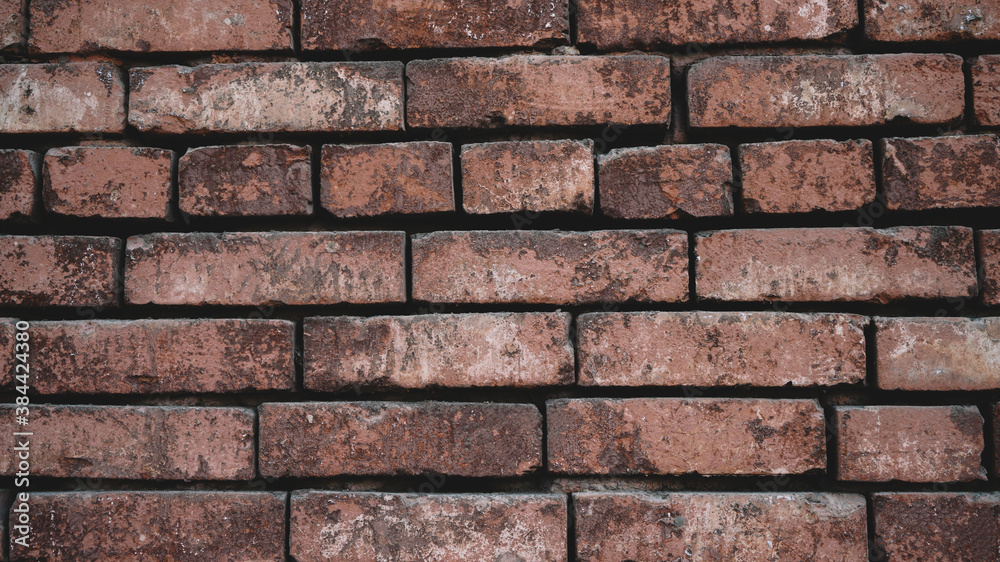 Wall background Texture - Wall red background texture Wall background Texture - Wall red background texture