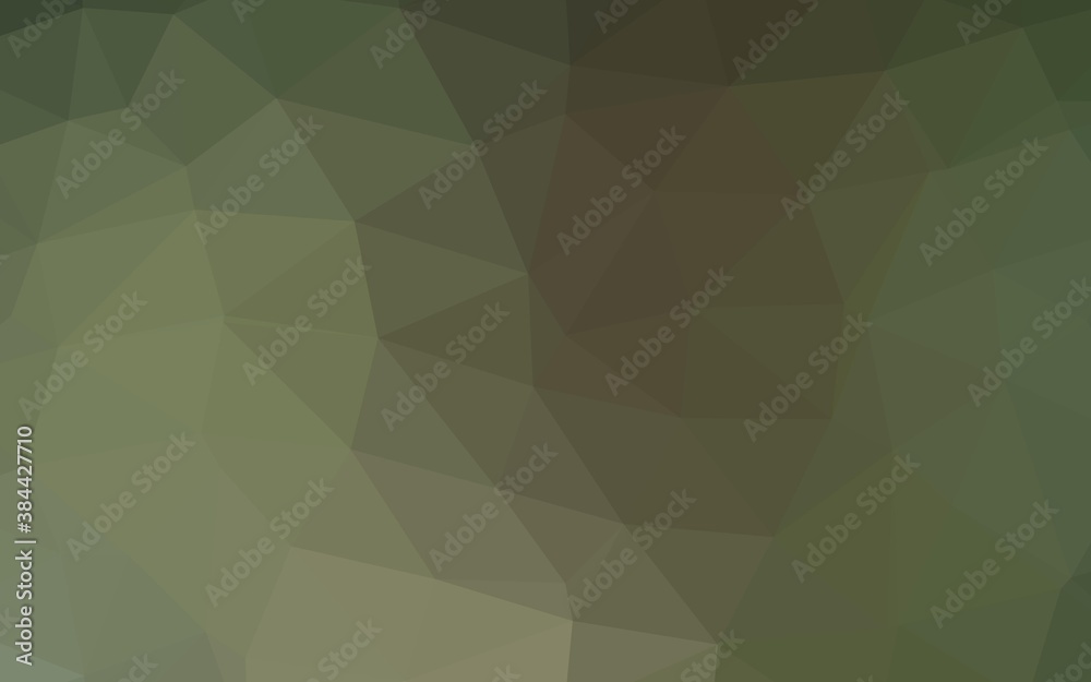 Light Green vector shining triangular template. Light Green vector shining triangular template.