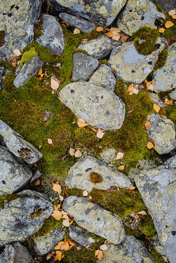 a pile of large stones, with the stones overgrown with moss, Qurum. a pile of large stones, with the stones overgrown with moss, Qurum.