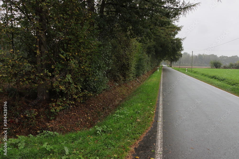 Fototapeta premium Landstraße im Regen