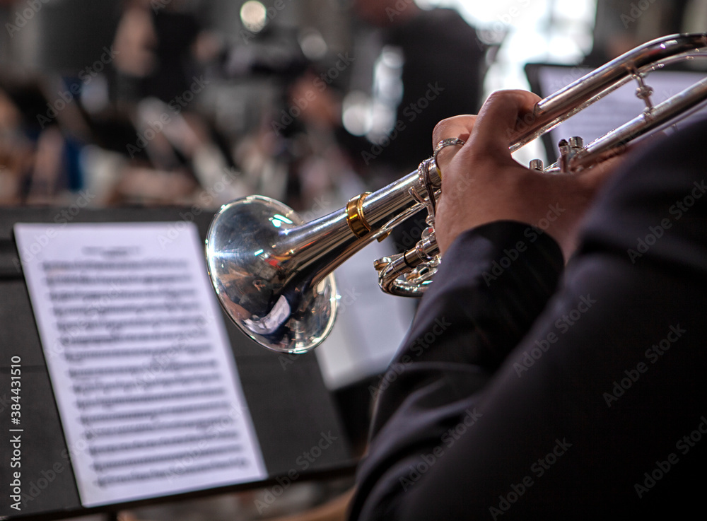 Obraz premium the musical instruments of the symphony orchestra rest before the concert.