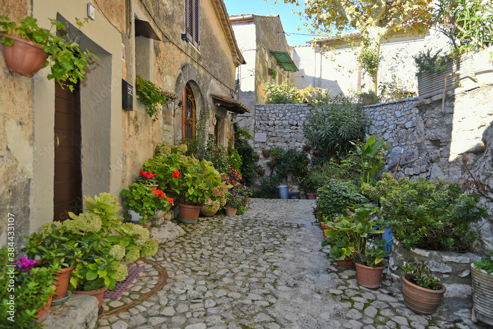 Fototapeta premium A narrow street between the old houses of Fumone, a medieval village in the province of Frosinone, Italy.