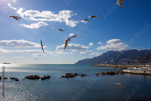 Idyllic landscape on  Tyrrhenian sea  . View from Salerno om Amalfo coast and seagulls and ship at distance