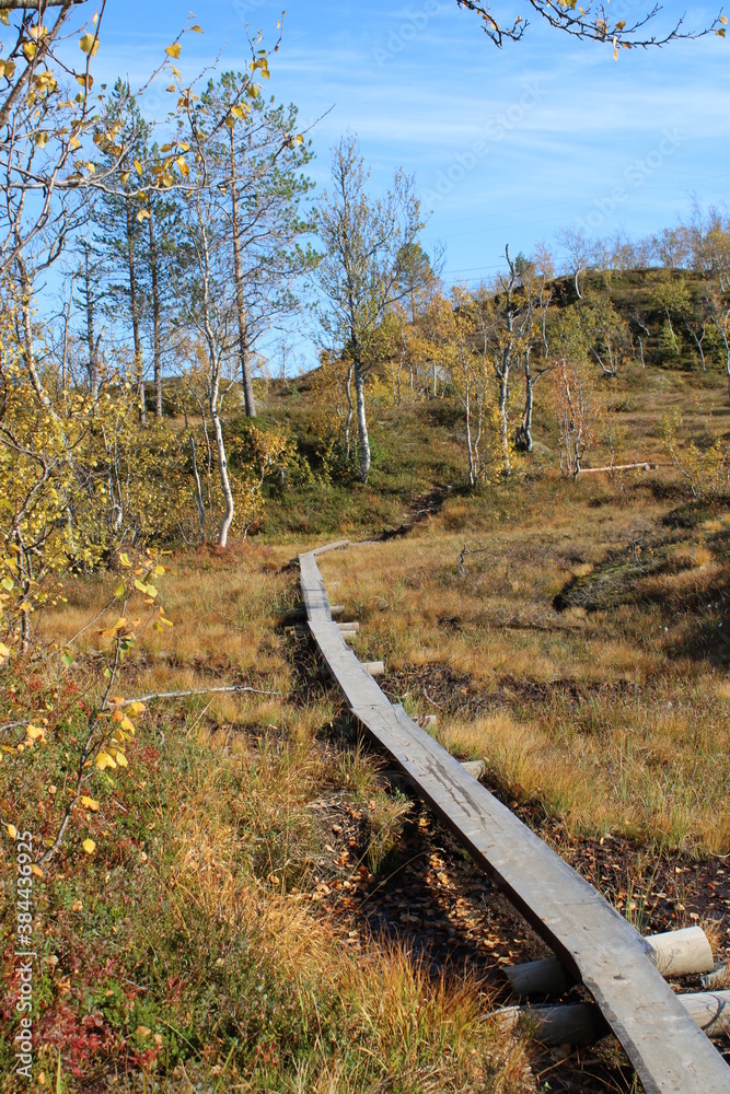 Fototapeta premium The beautiful and colourful landscape around Rago National park in the heart of Northern Norway