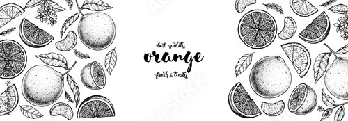 Orange hand drawn vector illustration. Orange sketch for design. Black and white style. Citrus orange pattern illustration. Orange packaging design.