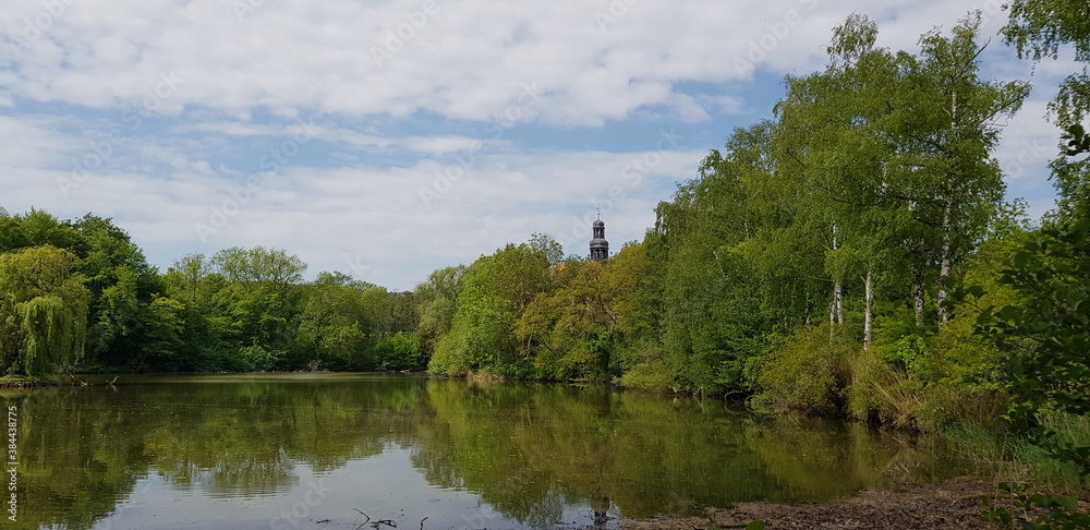 lake in the forest wasser, see, fluss, natur, landschaft, himmel, sommer, baum, wald, blau, baum, green, cloud, teich, ausserhalb, cloud, gras, beruhigt, schönheit, gelassenheit, szene, park, panorama lake in the forest wasser, see, fluss, natur, landschaft, himmel, sommer, baum, wald, blau, baum, green, cloud, teich, ausserhalb, cloud, gras, beruhigt, schönheit, gelassenheit, szene, park, panorama