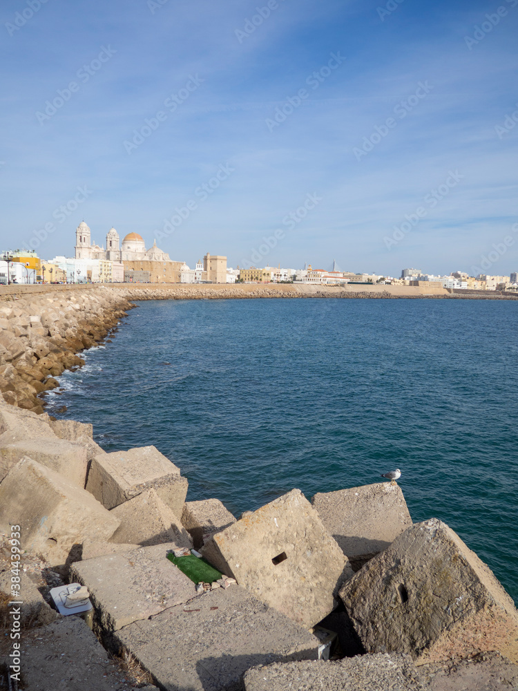 vistas de la catedral de Cádiz