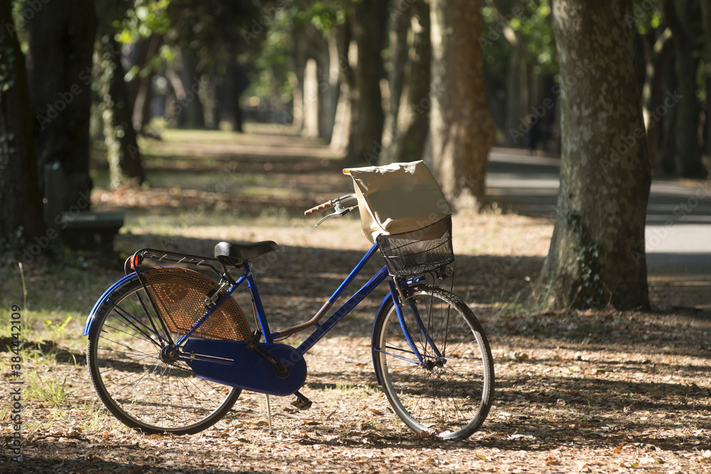 bicicletta nel parco