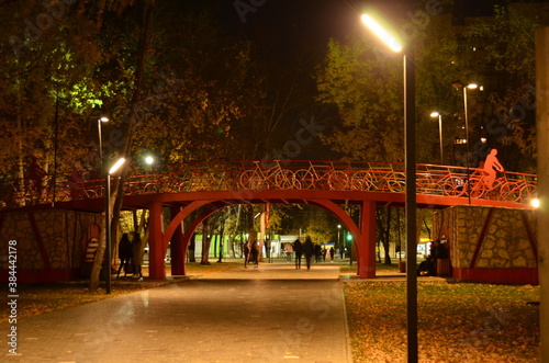 Cyclists' bridge in the park at night city. Bicycle bridge in the night city.