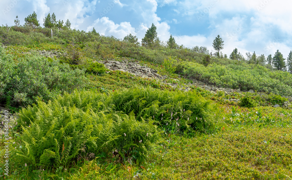 Beautiful mountain landscape in the Republic of Khakassia. Eastern Siberia, Russia