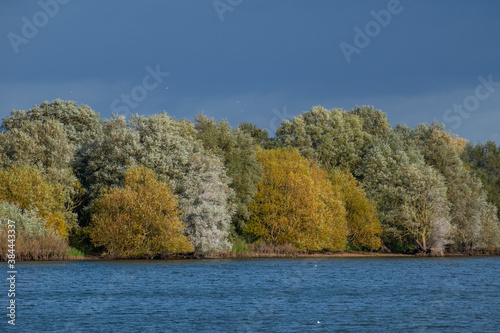 Abberton Reservoir, Essex, UK