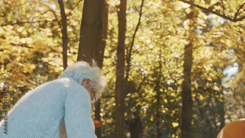 Wallpaper Mural Elderly couple relaxing in nature. throwing yellow leaves at each other. High quality 4k footage Torontodigital.ca