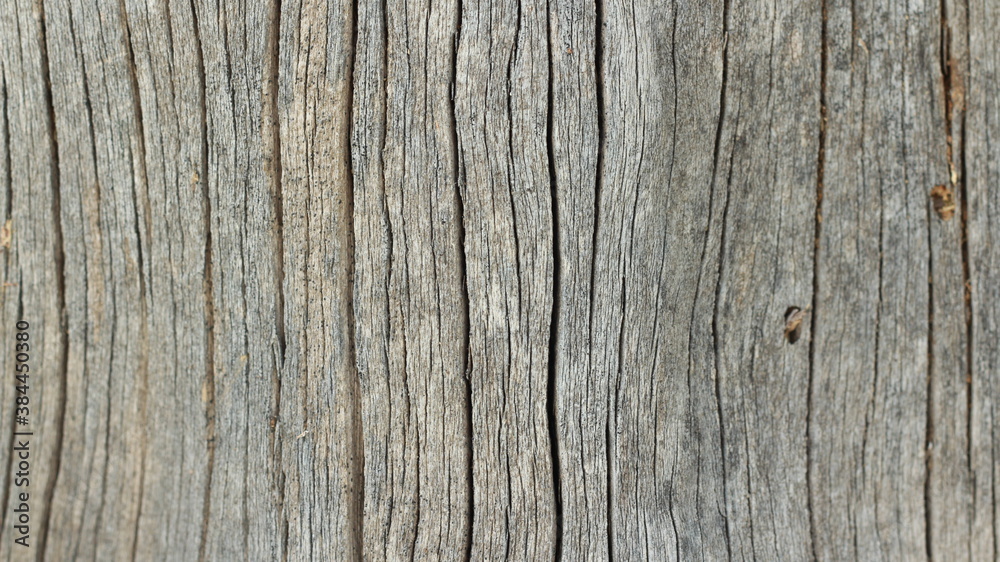 Old dark wooden pattern, background, texture