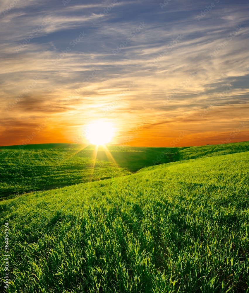 Sunset On A Green Grass Field Of A Scenic Landscape Of Sicily Agriculture Sunset On A Green Grass Field Of A Scenic Landscape Of Sicily Agriculture