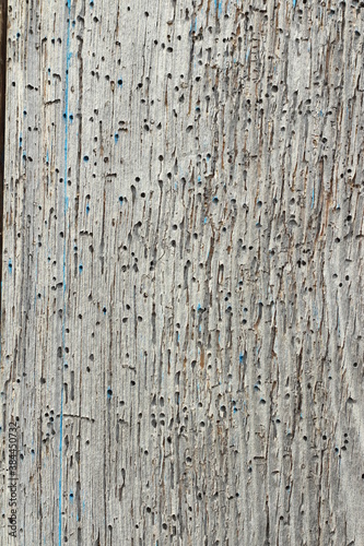 Old dark wooden pattern, background, texture