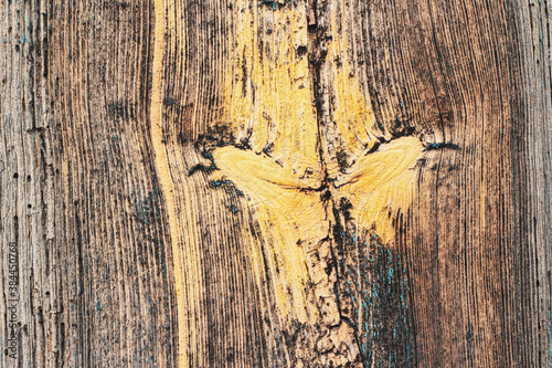 Old dark wooden pattern, background, texture