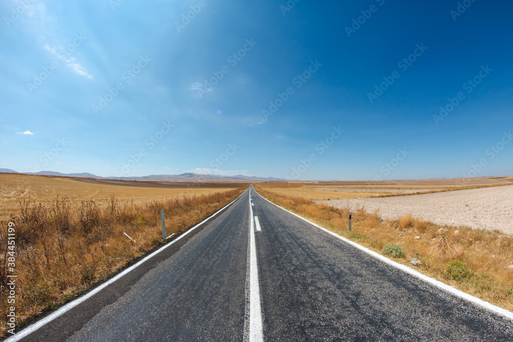 asphalt road with dried grass and blue sky. a long way to travel.