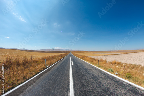 asphalt road with dried grass and blue sky. a long way to travel.