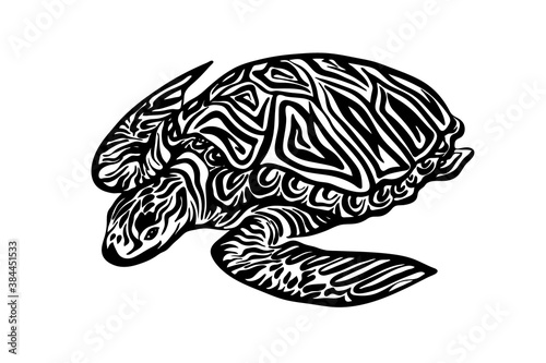 Hand drawn ornate turtle sketch. Vector black ink drawing animal isolated on white background. Graphic illustration