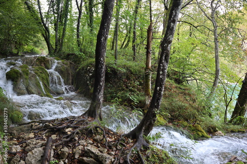 Beautiful landscape waterfall  rocks overgrown with moss and tree roots drawing bizarre patterns. Scenic view of Plitvice Lakes National Park