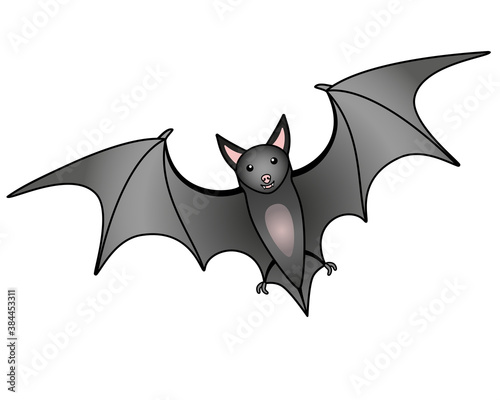 Cute gray bat - vector full color illustration. The flying fox is a bats mammal. The flying animal is a bat.