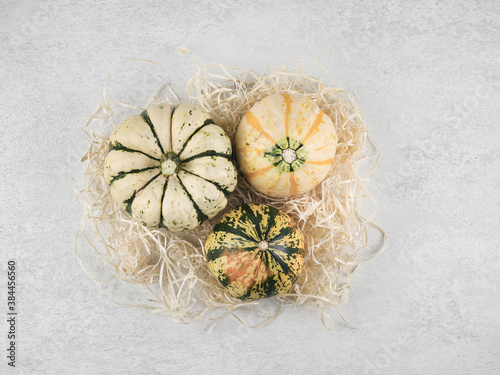 Pumpkins on gray. Three pumpkins lie in wood shavings on a light gray stone background, top view.