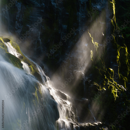 Fototapeta Naklejka Na Ścianę i Meble -  Shaft of Light - Proxy Falls in the Three Sisters Wilderness Area, Oregon.