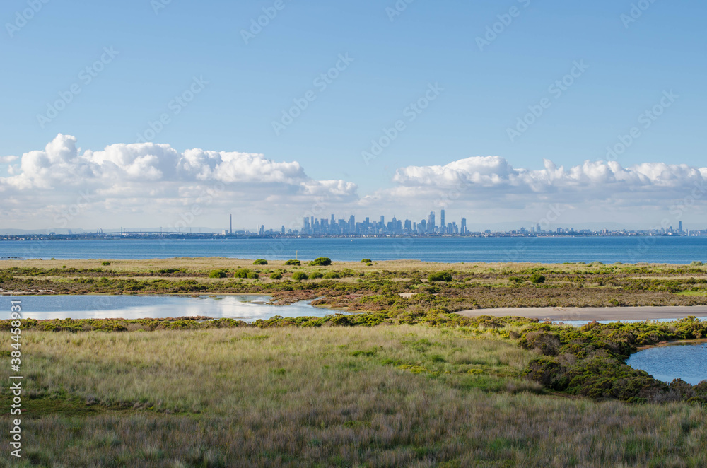 Beautiful view of the coastal wetland against the blue sea on the outskirt of Melbourne's urban area. The swamp, grass, and lagoon in the habitat areas of Cheetham Wetlands VIC Australia.