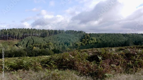 static shot of rolling hills bordered by a lined forest 