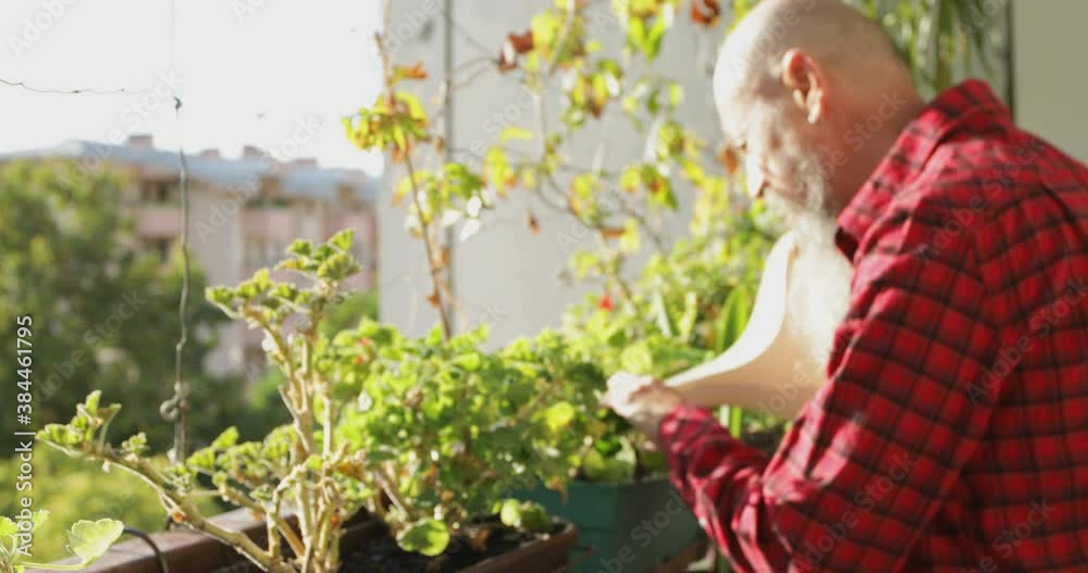 50 years mid adult man watering plants at home, real people 50 years mid adult man watering plants at home, real people